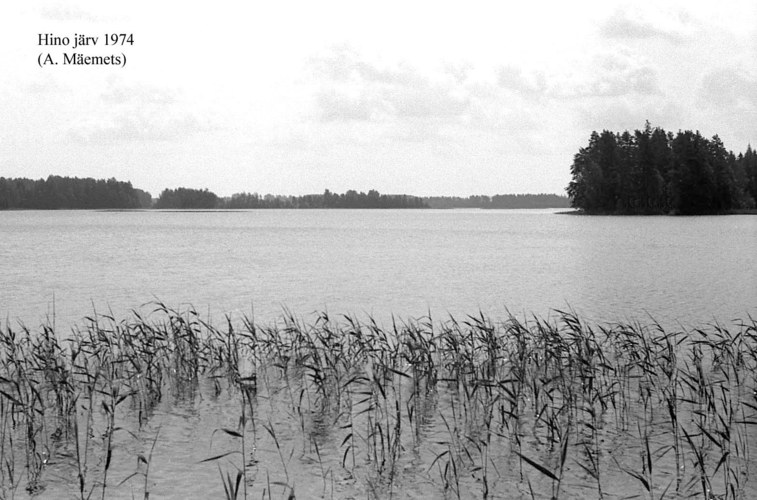 Maakond: Võrumaa Veekogu nimi: Hino järv Pildistamise aeg: 1974 Pildistaja: A. Mäemets Pildistamise koht: teadmata Asimuut: