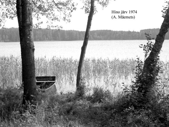 Maakond: Võrumaa Veekogu nimi: Hino järv Pildistamise aeg: 1974 Pildistaja: A. Mäemets Pildistamise koht: teadmata Asimuut: