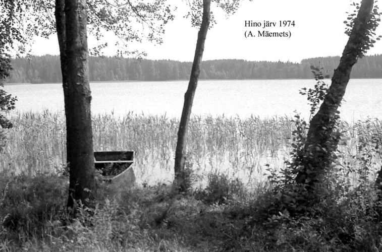 Maakond: Võrumaa Veekogu nimi: Hino järv Pildistamise aeg: 1974 Pildistaja: A. Mäemets Pildistamise koht: teadmata Asimuut: