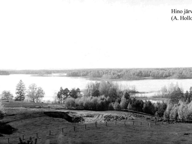 Maakond: Võrumaa Veekogu nimi: Hino järv Pildistamise aeg: teadmata Pildistaja: A. Hollo (Eesti Looduse arhiiv) Pildistamise koht: teadmata Asimuut: