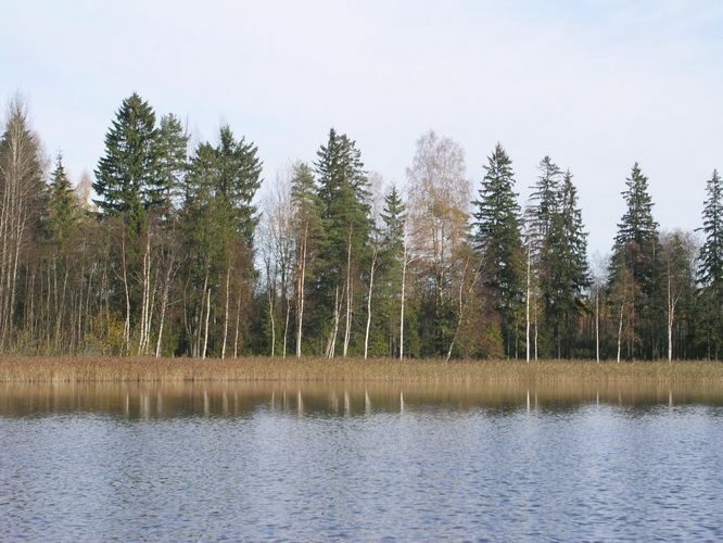 Maakond: Võrumaa Veekogu nimi: Hino järv Pildistamise aeg: 20. oktoober 2003 Pildistaja: H. Timm Pildistamise koht: teadmata Asimuut: