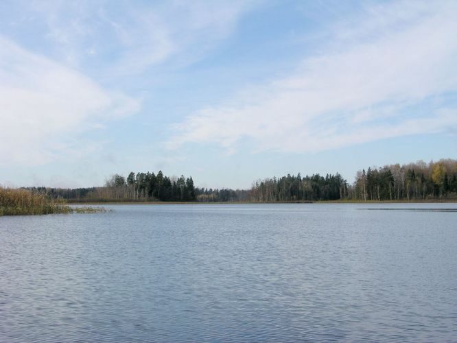 Maakond: Võrumaa Veekogu nimi: Hino järv Pildistamise aeg: 20. oktoober 2003 Pildistaja: H. Timm Pildistamise koht: teadmata Asimuut: