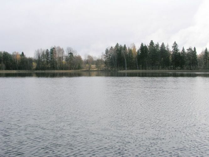 Maakond: Võrumaa Veekogu nimi: Hino järv Pildistamise aeg: 20. oktoober 2003 Pildistaja: H. Timm Pildistamise koht: teadmata Asimuut: