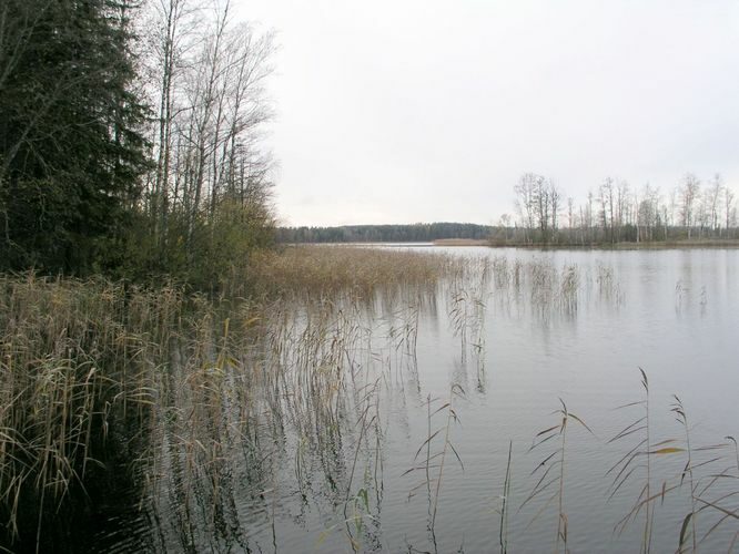 Maakond: Võrumaa Veekogu nimi: Hino järv Pildistamise aeg: 20. oktoober 2003 Pildistaja: H. Timm Pildistamise koht: teadmata Asimuut: