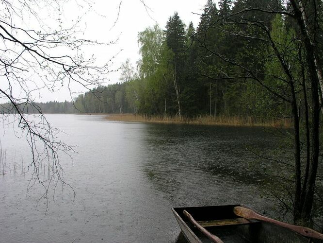 Maakond: Võrumaa Veekogu nimi: Hino järv Pildistamise aeg: 5. mai 2008 Pildistaja: H. Timm Pildistamise koht: teadmata Asimuut: