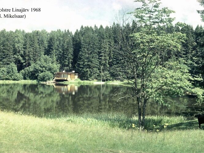 Maakond: Viljandimaa Veekogu nimi: Holstre Linajärv Pildistamise aeg: 1968 Pildistaja: N. Mikelsaar Pildistamise koht: teadmata Asimuut: