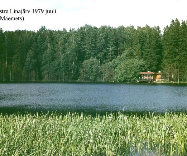 Maakond: Viljandimaa Veekogu nimi: Holstre Linajärv Pildistamise aeg: juuli 1979 Pildistaja: A. Mäemets Pildistamise koht: teadmata Asimuut: