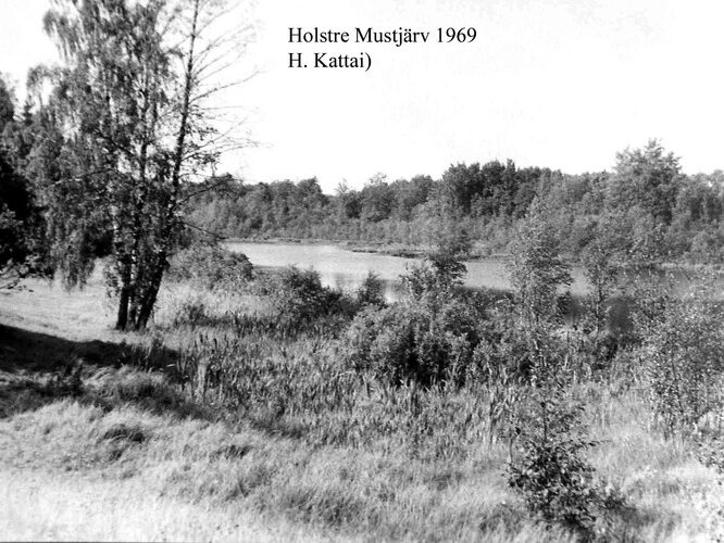 Maakond: Viljandimaa Veekogu nimi: Holstre Mustjärv Pildistamise aeg: 1969 Pildistaja: H. Kattai (Eesti Looduse arhiiv) Pildistamise koht: teadmata Asimuut: