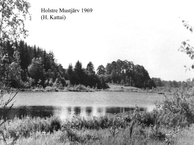 Maakond: Viljandimaa Veekogu nimi: Holstre Mustjärv Pildistamise aeg: 1970 Pildistaja: H. Kattai (Eesti Looduse arhiiv) Pildistamise koht: teadmata Asimuut: