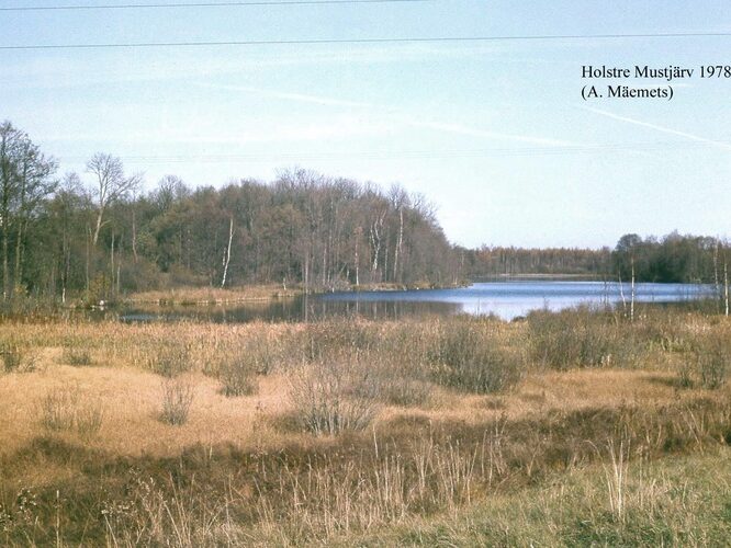 Maakond: Viljandimaa Veekogu nimi: Holstre Mustjärv Pildistamise aeg: oktoober 1978 Pildistaja: A. Mäemets Pildistamise koht: teadmata Asimuut: