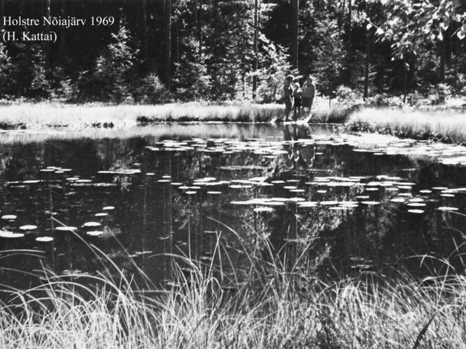 Maakond: Viljandimaa Veekogu nimi: Holstre Nõiajärv Pildistamise aeg: 1969 Pildistaja: H. Kattai (Eesti Looduse arhiiv) Pildistamise koht: teadmata Asimuut: