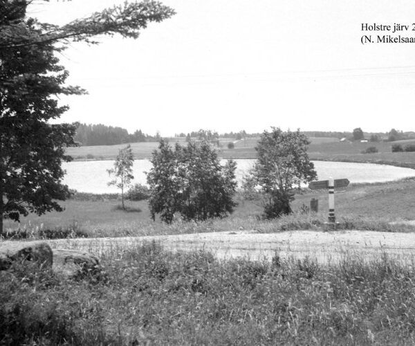 Maakond: Viljandimaa Veekogu nimi: Holstre järv Pildistamise aeg: 24. juuni 1959 Pildistaja: N. Mikelsaar Pildistamise koht: teadmata Asimuut: