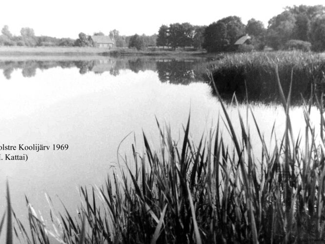 Maakond: Viljandimaa Veekogu nimi: Holstre järv Pildistamise aeg: 1969 Pildistaja: H. Kattai (Eesti Looduse arhiiv) Pildistamise koht: teadmata Asimuut: