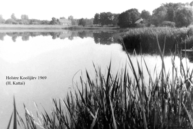 Maakond: Viljandimaa Veekogu nimi: Holstre järv Pildistamise aeg: 1969 Pildistaja: H. Kattai (Eesti Looduse arhiiv) Pildistamise koht: teadmata Asimuut: