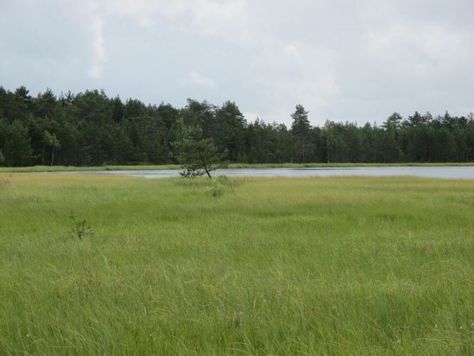 Maakond: Viljandimaa Veekogu nimi: Ikepera järv Pildistamise aeg: 18. juuli 2012 Pildistaja: H. Timm Pildistamise koht: teadmata Asimuut: