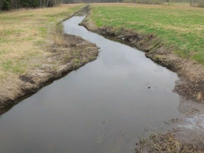 Maakond: Võrumaa Veekogu nimi: Iskna jõgi Pildistamise aeg: 4. mai 2011 Pildistaja: H. Timm Pildistamise koht: Tamme Asimuut: