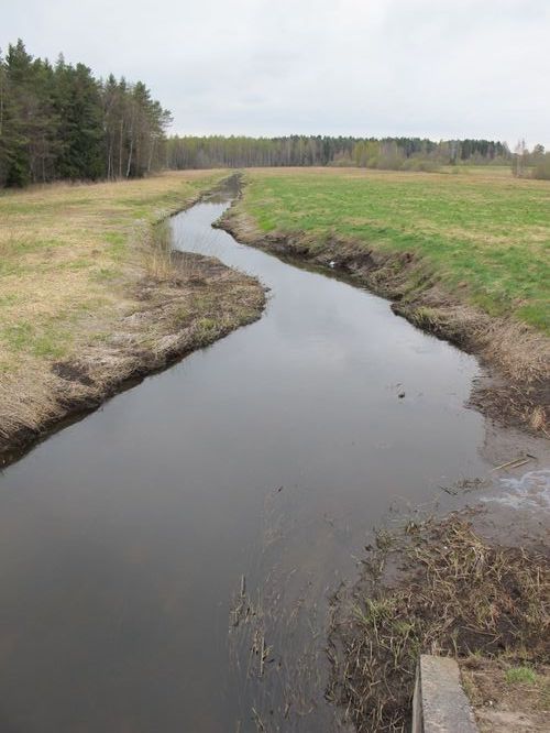 Maakond: Võrumaa Veekogu nimi: Iskna jõgi Pildistamise aeg: 4. mai 2011 Pildistaja: H. Timm Pildistamise koht: Tamme Asimuut: