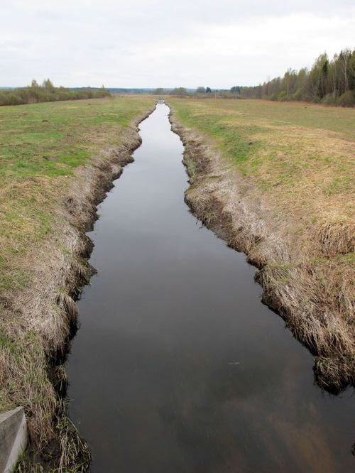 Maakond: Võrumaa Veekogu nimi: Iskna jõgi Pildistamise aeg: 4. mai 2011 Pildistaja: H. Timm Pildistamise koht: Tamme Asimuut: