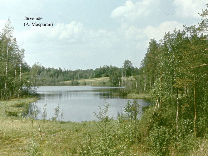 Maakond: Võrumaa Veekogu nimi: Järvemäe järv Pildistamise aeg: teadmata Pildistaja: A. Maspuran Pildistamise koht: teadmata Asimuut: