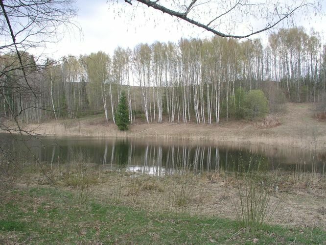 Maakond: Võrumaa Veekogu nimi: Kaasjärv Pildistamise aeg: 7. mai 2003 Pildistaja: H. Timm Pildistamise koht: teadmata Asimuut: