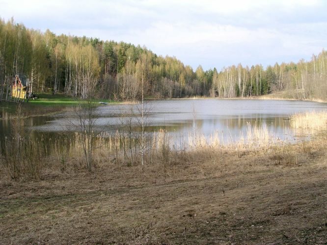 Maakond: Võrumaa Veekogu nimi: Kaasjärv Pildistamise aeg: 7. mai 2003 Pildistaja: H. Timm Pildistamise koht: teadmata Asimuut: