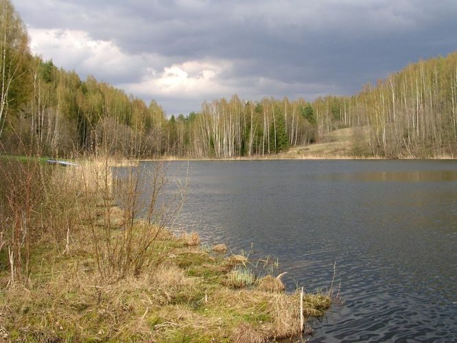 Maakond: Võrumaa Veekogu nimi: Kaasjärv Pildistamise aeg: 7. mai 2003 Pildistaja: H. Timm Pildistamise koht: teadmata Asimuut: