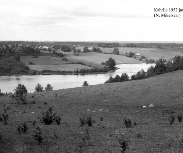 Maakond: Võrumaa Veekogu nimi: Kahrila järv Pildistamise aeg: juuli 1952 Pildistaja: N. Mikelsaar Pildistamise koht: teadmata Asimuut: