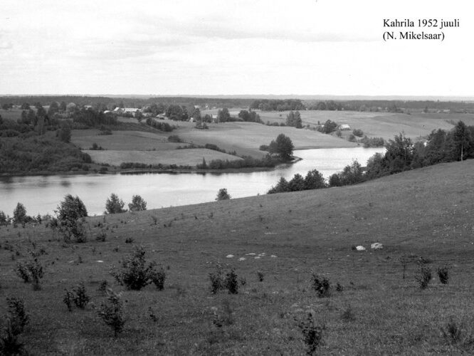 Maakond: Võrumaa Veekogu nimi: Kahrila järv Pildistamise aeg: juuli 1952 Pildistaja: N. Mikelsaar Pildistamise koht: teadmata Asimuut: