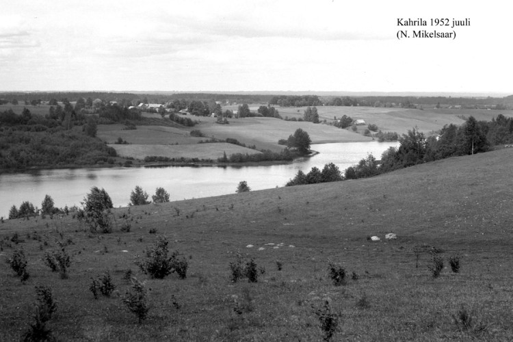 Maakond: Võrumaa Veekogu nimi: Kahrila järv Pildistamise aeg: juuli 1952 Pildistaja: N. Mikelsaar Pildistamise koht: teadmata Asimuut: