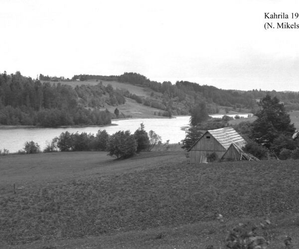 Maakond: Võrumaa Veekogu nimi: Kahrila järv Pildistamise aeg: juuli 1952 Pildistaja: N. Mikelsaar Pildistamise koht: teadmata Asimuut: