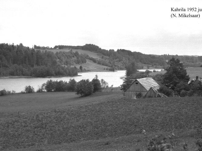 Maakond: Võrumaa Veekogu nimi: Kahrila järv Pildistamise aeg: juuli 1952 Pildistaja: N. Mikelsaar Pildistamise koht: teadmata Asimuut: