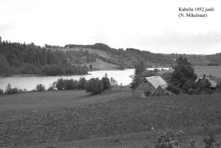 Maakond: Võrumaa Veekogu nimi: Kahrila järv Pildistamise aeg: juuli 1952 Pildistaja: N. Mikelsaar Pildistamise koht: teadmata Asimuut: