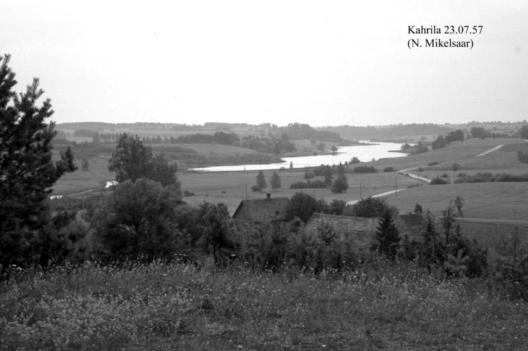 Maakond: Võrumaa Veekogu nimi: Kahrila järv Pildistamise aeg: 23. juuli 1957 Pildistaja: N. Mikelsaar Pildistamise koht: N Asimuut: SE