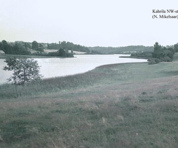 Maakond: Võrumaa Veekogu nimi: Kahrila järv Pildistamise aeg: 20. august 1965 Pildistaja: N. Mikelsaar Pildistamise koht: teadmata Asimuut: