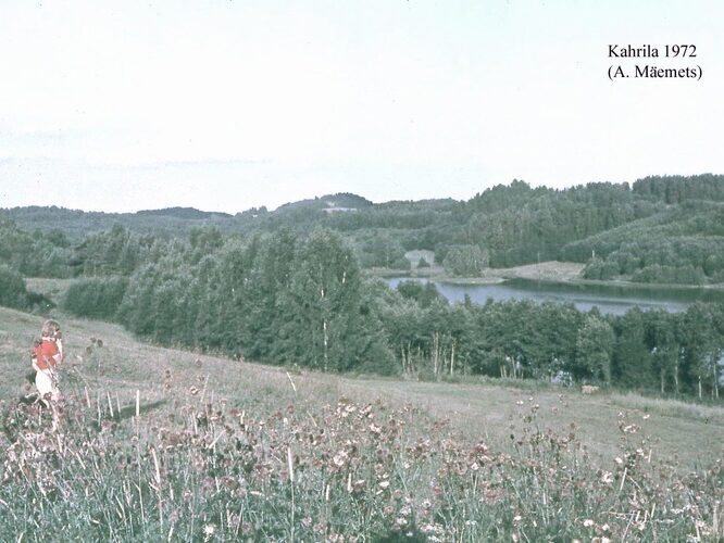 Maakond: Võrumaa Veekogu nimi: Kahrila järv Pildistamise aeg: 1972 Pildistaja: A. Mäemets Pildistamise koht: teadmata Asimuut: