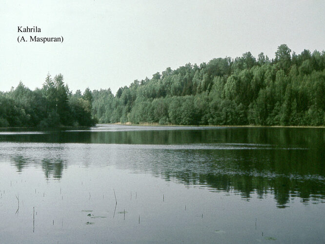 Maakond: Võrumaa Veekogu nimi: Kahrila järv Pildistamise aeg: teadmata Pildistaja: A. Maspuran Pildistamise koht: teadmata Asimuut: