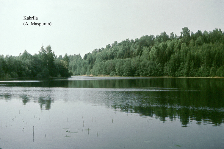 Maakond: Võrumaa Veekogu nimi: Kahrila järv Pildistamise aeg: teadmata Pildistaja: A. Maspuran Pildistamise koht: teadmata Asimuut: