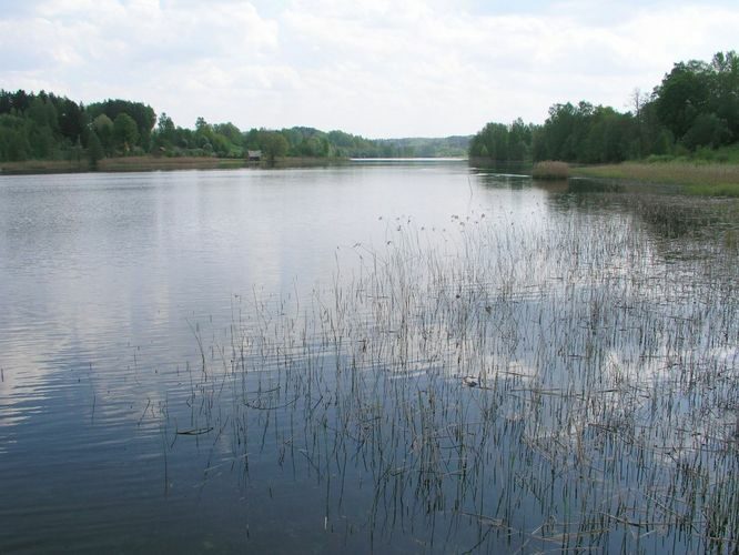 Maakond: Võrumaa Veekogu nimi: Kahrila järv Pildistamise aeg: 22. mai 2007 Pildistaja: H. Timm Pildistamise koht: teadmata Asimuut: