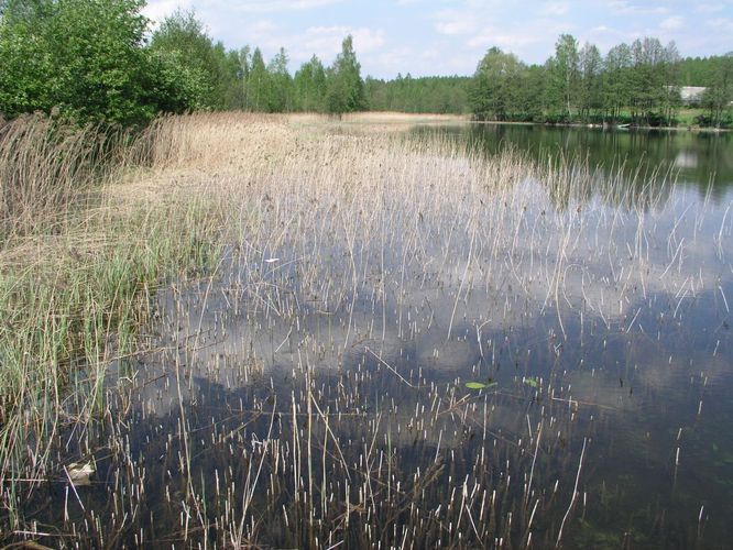 Maakond: Võrumaa Veekogu nimi: Kahrila järv Pildistamise aeg: 22. mai 2007 Pildistaja: H. Timm Pildistamise koht: teadmata Asimuut: