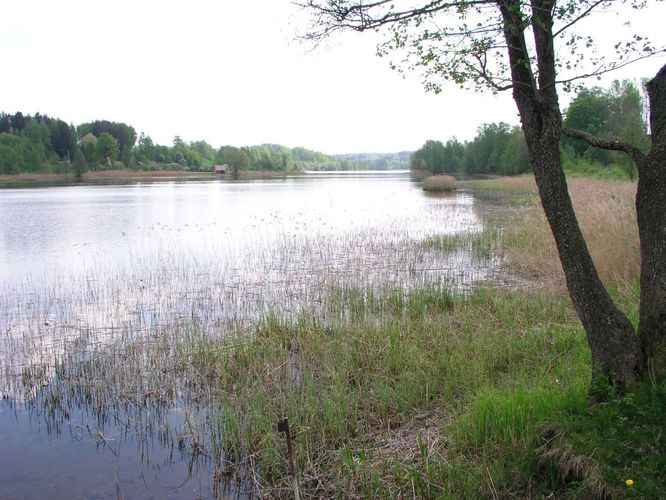 Maakond: Võrumaa Veekogu nimi: Kahrila järv Pildistamise aeg: 22. mai 2007 Pildistaja: H. Timm Pildistamise koht: teadmata Asimuut: