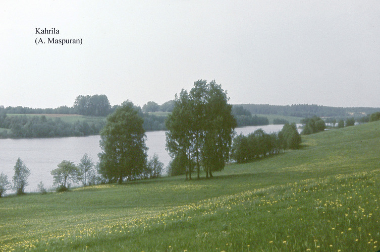 Maakond: Võrumaa Veekogu nimi: Kahrila järv Pildistamise aeg: teadmata Pildistaja: A. Maspuran Pildistamise koht: teadmata Asimuut: