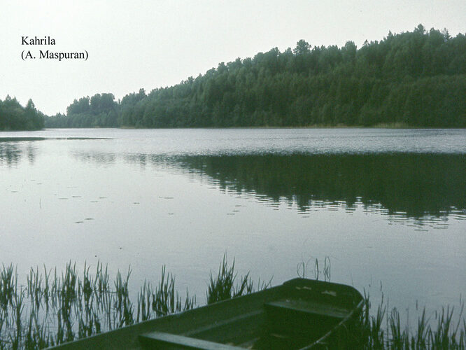 Maakond: Võrumaa Veekogu nimi: Kahrila järv Pildistamise aeg: teadmata Pildistaja: A. Maspuran Pildistamise koht: teadmata Asimuut: