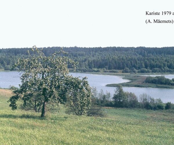 Maakond: Viljandimaa Veekogu nimi: Kariste järv Pildistamise aeg: august 1979 Pildistaja: A. Mäemets Pildistamise koht: teadmata Asimuut: