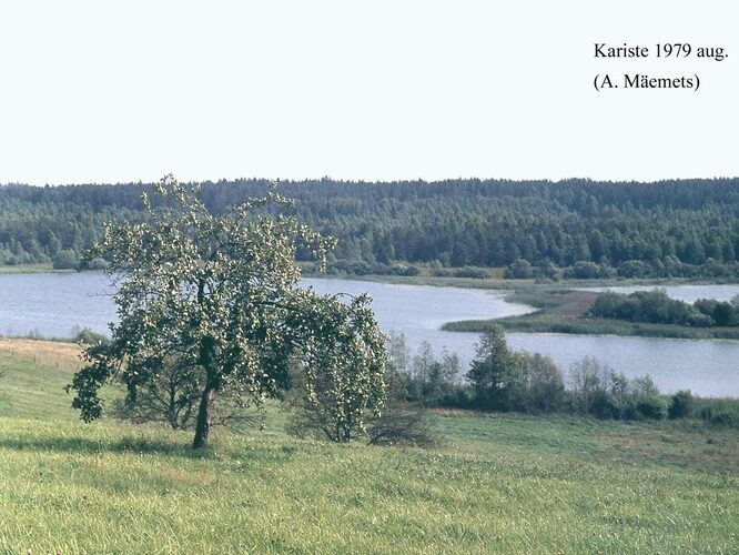 Maakond: Viljandimaa Veekogu nimi: Kariste järv Pildistamise aeg: august 1979 Pildistaja: A. Mäemets Pildistamise koht: teadmata Asimuut: