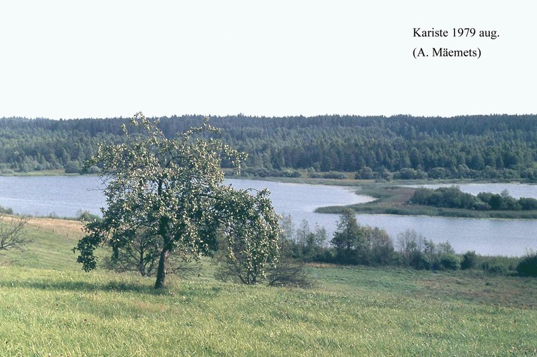 Maakond: Viljandimaa Veekogu nimi: Kariste järv Pildistamise aeg: august 1979 Pildistaja: A. Mäemets Pildistamise koht: teadmata Asimuut: