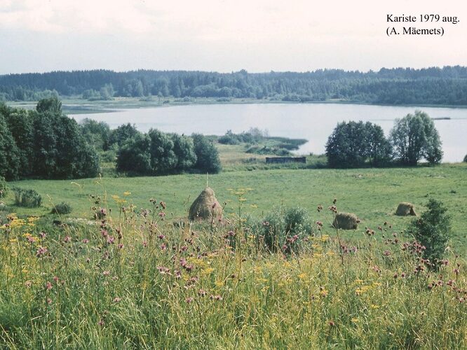 Maakond: Viljandimaa Veekogu nimi: Kariste järv Pildistamise aeg: august 1979 Pildistaja: A. Mäemets Pildistamise koht: teadmata Asimuut: