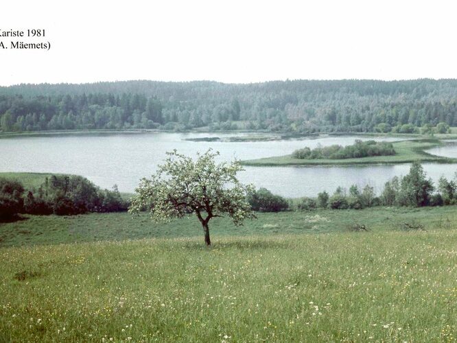 Maakond: Viljandimaa Veekogu nimi: Kariste järv Pildistamise aeg: 1981 Pildistaja: A. Mäemets Pildistamise koht: teadmata Asimuut: