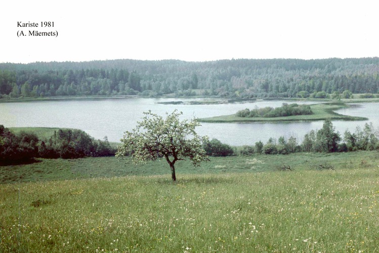 Maakond: Viljandimaa Veekogu nimi: Kariste järv Pildistamise aeg: 1981 Pildistaja: A. Mäemets Pildistamise koht: teadmata Asimuut: