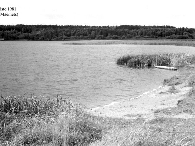 Maakond: Viljandimaa Veekogu nimi: Kariste järv Pildistamise aeg: 1981 Pildistaja: A. Mäemets Pildistamise koht: teadmata Asimuut: