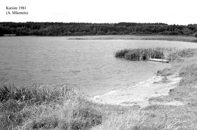 Maakond: Viljandimaa Veekogu nimi: Kariste järv Pildistamise aeg: 1981 Pildistaja: A. Mäemets Pildistamise koht: teadmata Asimuut: